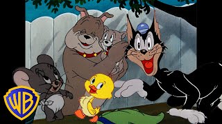 Tom amp Jerry  Best Side Characters 🐣🐶  Classic Cartoon Compilation  wbkids​ [upl. by Eliath]