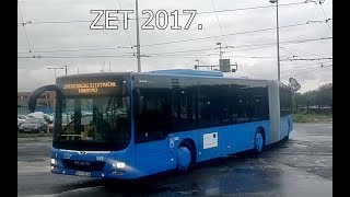 ABV113 ZET Zagreb MAN Lions City G amp Iveco Urbanway  NEW 2017 [upl. by Dnomde318]