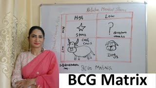 BCG Matrix [upl. by Ynned255]