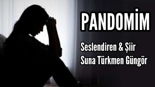 PANDOMİM  Seslendiren amp Şiir Suna Türkmen Güngör [upl. by Aurilia]