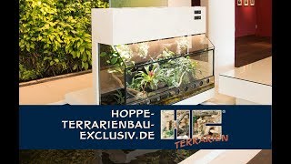 Pfeilgiftfrosch  Terrarium für quotErdalquot  die mit dem Frosch [upl. by Omora659]