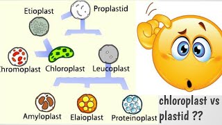 Plastids and its types [upl. by Carmela499]