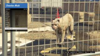 GTA 5 ALL Playable Animals amp Appearances [upl. by Yrocaj]