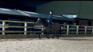 Riding School Dressage League Intro C November [upl. by Ahsaenat480]