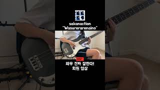 sakanaction  Wasurerarenaino 우와 이게 가능해 🎸 [upl. by Nuahsal]