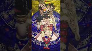 Mera yaar hai Mera yaar haiytshorts shortfeed love bankebihari vrindavan krishna krishna [upl. by Aztinay]