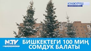 БИШКЕКТЕГИ 100 МИҢ СОМДУК БАЛАТЫ NewTV [upl. by Aihseken]