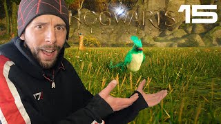 MAGICAL BEASTS AND WHERE TO FIND THEM  BLIND Playthrough  Hogwarts Legacy Episode 15 [upl. by Aliwt521]