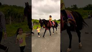 Horse 🐎 Riding  horse horses ghoda horseriding horselover ytvideo shortsfeed dhruhi [upl. by Anan]