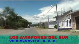 LOS AVISPONES DEL SUR  UN RINCONCITO LA CARRERA FATAL GABINO BARRERA [upl. by Miller219]