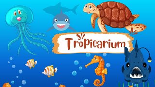 Tropicarium [upl. by Roderich]