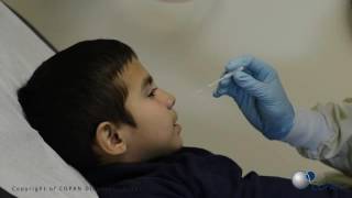 Pediatric MidTurbinate Nasal Swab Procedure [upl. by Tai771]