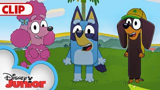 Bluey Season 1 Episode 6 quotShadowlandsquot Episode Clip  disneyjr​  BlueyOfficialChannel​ [upl. by Vania869]