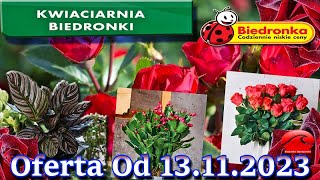 Biedronka  Kwiaciarnia Biedronki Nowa Oferta Od 13112023  Kwiatowe Inspiracje Biedronki [upl. by Spiros]