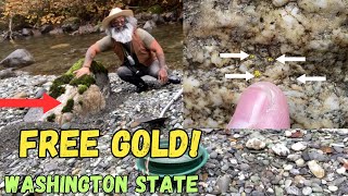 Unbelievable Discovery in a Hidden Washington Creek [upl. by Zil]