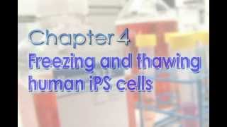 Chapter 4 Freezing and thawing human iPS cells [upl. by Eniluj270]