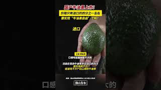 國產牛油果上市！價格只有進口的四分之一左右，要實現“牛油果自由”了嗎？｜水果｜牛油果｜佛山Street｜資訊 [upl. by Serilda850]