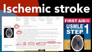 Ischemic stroke  Thrombotic embolic amp Hypoxic infarction amp treatment in HindiUrdu by USMLE step 1 [upl. by Cirillo130]