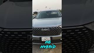 HAVAL H6 HYBRID 2022 First Look [upl. by Tterab]