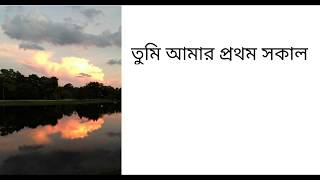 Tumi Amar Prothom Sokal Lyrics 💕 Shakila Jafor And Tapan Choudhury  Modern Bangla Song [upl. by Llemmart]