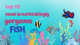 top 10 most breathtakingly gorgeous fish [upl. by Ettedanreb]