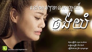 នៅសុខៗមានអារម្មណ៍ចង់យំ  Aok Sokunkanha Lyric Audio [upl. by Justinn]