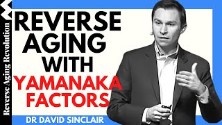 REVERSE AGING With Yamanaka Factors  Dr David Sinclair Interview Clips [upl. by Tristis744]