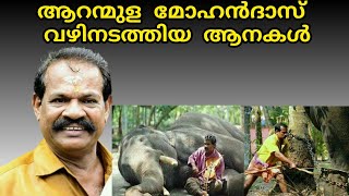 ആറന്മുള മോഹൻദാസ് ഏട്ടൻ വഴിനടത്തിയ ആനകൾ  Aranmula mohandas elephants [upl. by Nuahsak597]