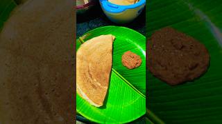 tomato pachadiidli dosa and rice please viral short [upl. by Sussi]