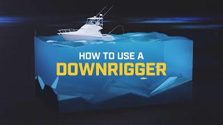 How to Use a Downrigger [upl. by Esom]