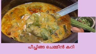 പീച്ചിങ്ങ ചെമ്മീൻ Peechinga prawns curryEasy lunch recipes Prawns [upl. by Alyakim]