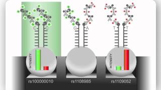 Illumina Infinium Assay An Overview [upl. by Craddock161]