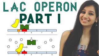 Lac Operon  Regulation of Gene Expression Part 1  Molecular BiologyLactoseLife Science [upl. by Orvil]