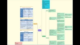 Neoplasia LEC 2 شرح بالعربي [upl. by Annerol997]