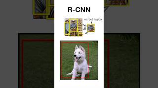 RCNN Explained objectdetection computervision machinelearning deeplearning [upl. by Theola13]