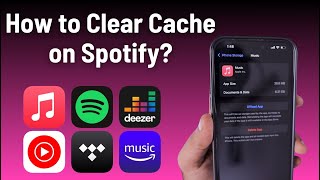 How to Clear Cache on Spotify iPhone [upl. by Adnar650]