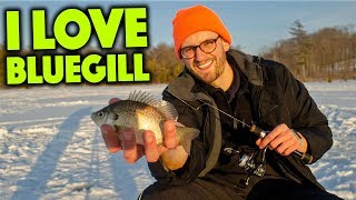 Ice Fishing For Big Michigan Bluegill [upl. by Kotick]