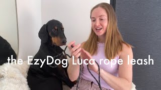 thoughts on the EzyDog Luca slip lead [upl. by Neelahtak]