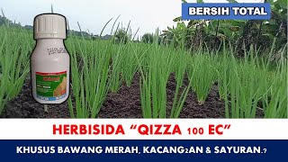 Herbisida Selektif Aman Khusus Bawang Merah  Qizza 100 EC [upl. by Coryden570]