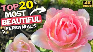 20 Most Beautiful Long Blooming Perennial Flowers for Your Garden 2 Bonus Plants 4K [upl. by Elayor492]