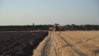 Coldiretti Puglia cresce il valore dei terreni agricoli in regione [upl. by Nylorahs]