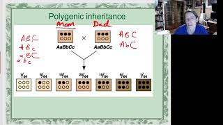 Polygenic inheritance [upl. by Aecila]