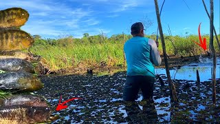 LUGAR TEMIDO PELOS PESCADORES MESMO ASSIM ME ARRISQUEI IR LÁ Por isso só tem peixes pré histórico [upl. by Acinoed]