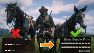 Highest horse level in Red Dead Redemption2 [upl. by Llecram]