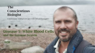 Disease 5 White Blood Cells and the Immune System [upl. by Kcyrred]