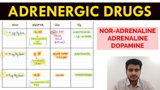 Autonomic Pharmacology  15  NorAdrenaline  Adrenaline amp Dopamine  EOMS [upl. by Oned534]