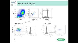 Multicolor Panel Building in Flow Cytometry [upl. by Adekahs]