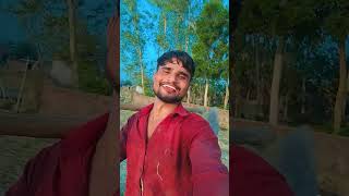 Ham diwane hai esk karte hai  jina marna  Hindi song 2024 shortvideo youtubeshorts short [upl. by Herald]