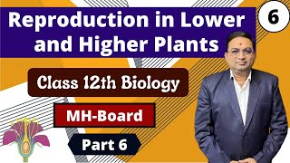 Reproduction in Lower and Higher Plants Class 12th Biology Part 6 [upl. by Silletram]