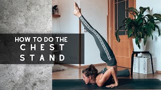 15 min CHEST STAND TUTORIAL advanced  incl warmup  SARA TICHA [upl. by Amathiste]